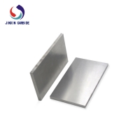 Carbide Plate (21)